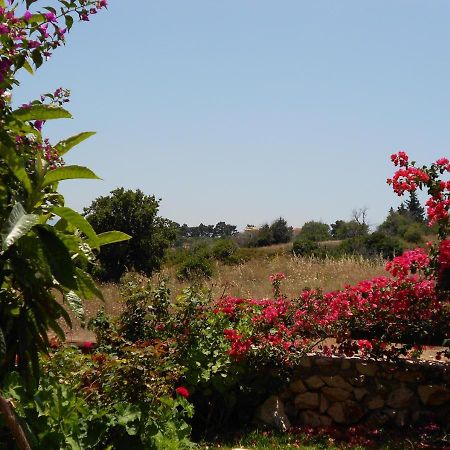 Livadaki Village Hotel Skala  Dış mekan fotoğraf