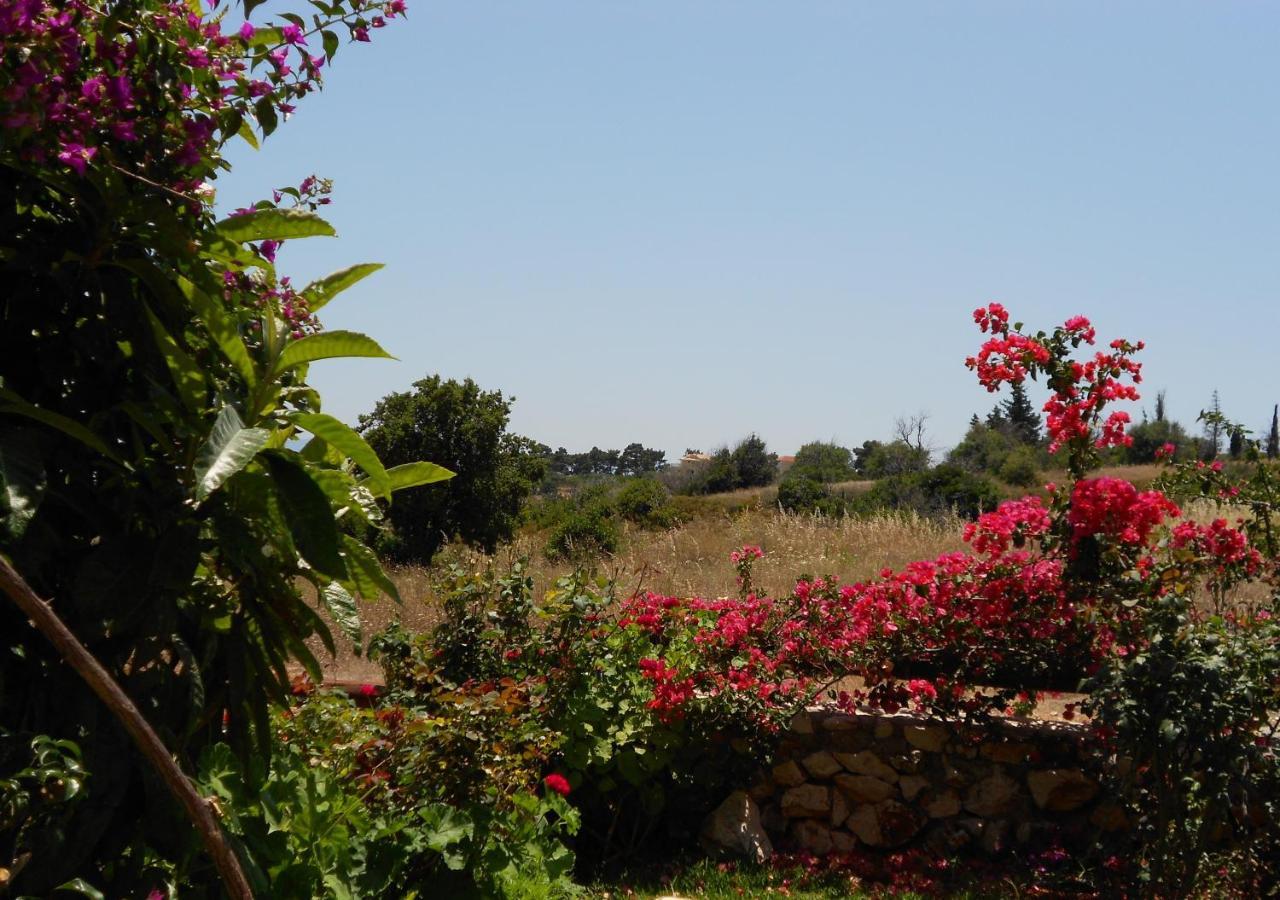 Livadaki Village Hotel Skala  Dış mekan fotoğraf