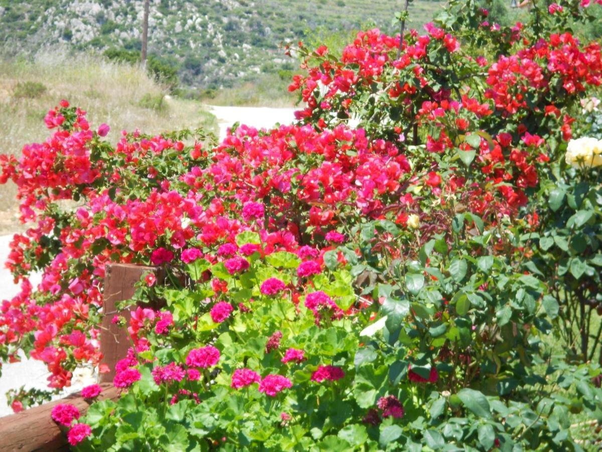 Livadaki Village Hotel Skala  Dış mekan fotoğraf