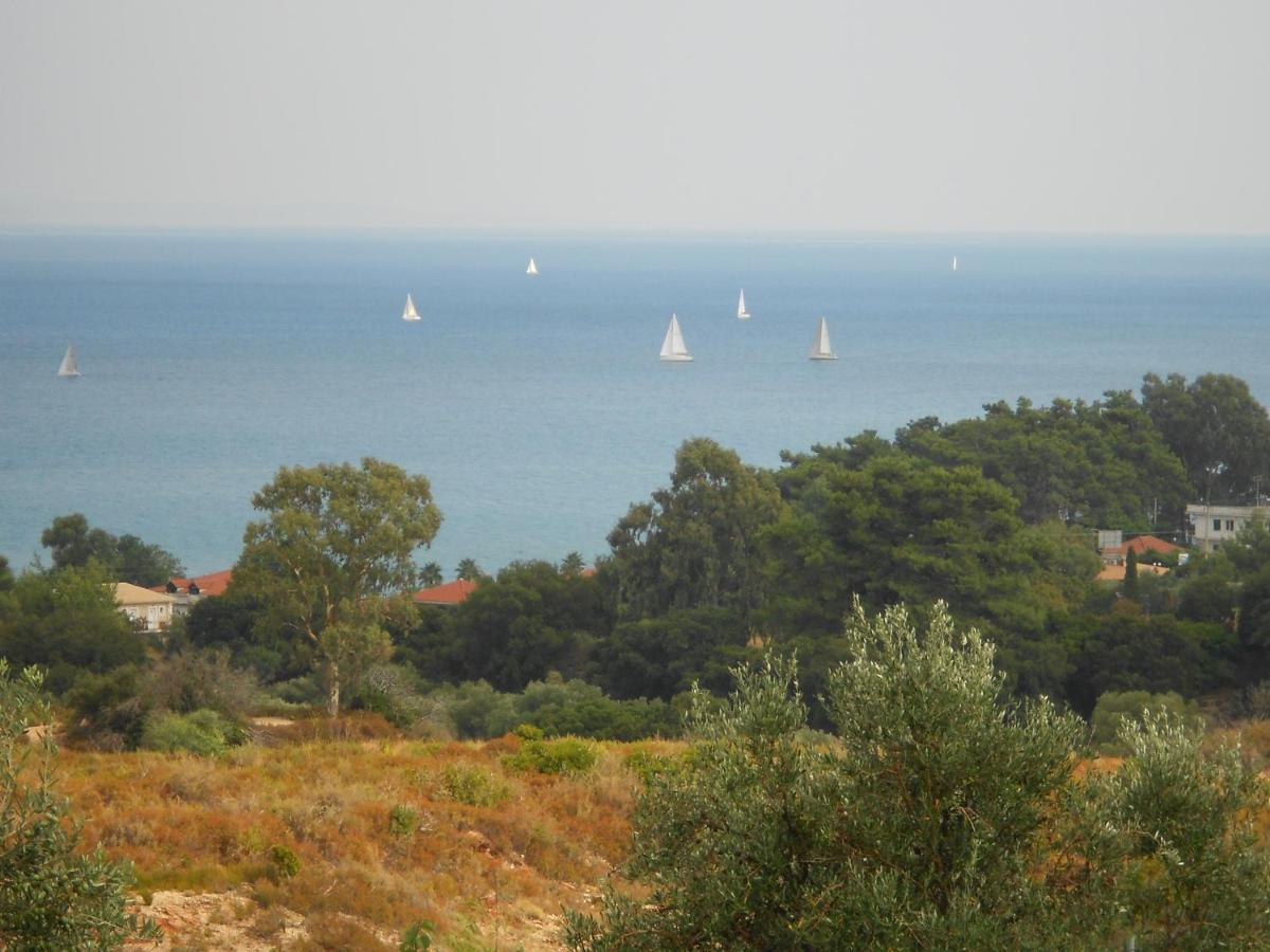 Livadaki Village Hotel Skala  Dış mekan fotoğraf